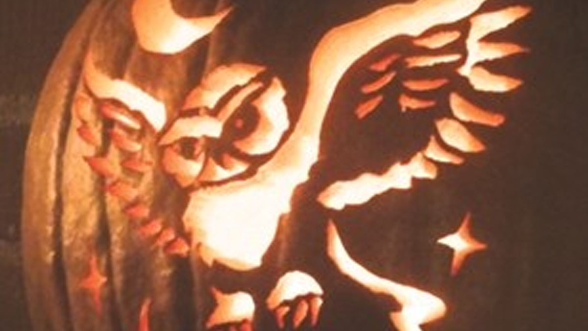 Family Drop-In: Halloween in Nature at Edward L. Ryerson Conservation Area